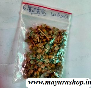  நாட்டு கொத்தமல்லி Country Coriander 5 Grm Pocket
