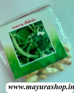  செடி பீன்ஷ் 5 Grm Pocket