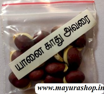  யானைக்காது அவரை 5 Grm Pocket-விதை