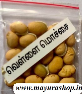 வெள்ளை மொச்சை   5 Grm Packet 