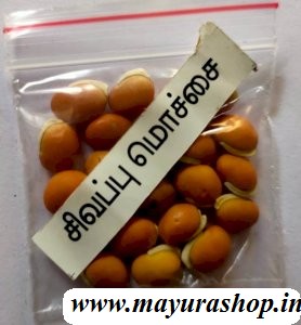  சிகப்பு மொச்சை 5 Grm Packet 