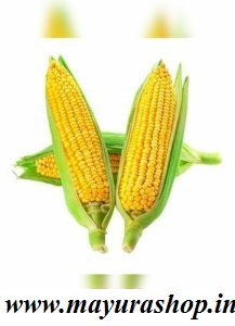 sweat corn  5 Grm Packet 