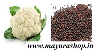  காளிப்ளவர், 5 Grm Pocket