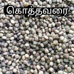 கொத்தவர-விதை
